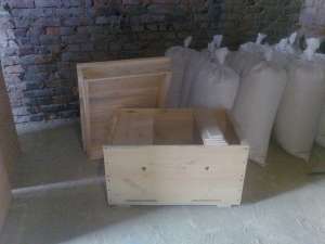 ���� ��� ��� �����