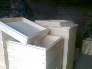 ���� ��� ��� �����