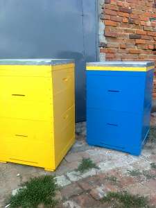 ���� ��� ��� �����