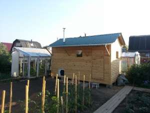 ���� ��� ����