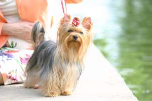 ���� ��� �����