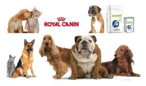 ���� ��� ����� � ����� Royal Canin, ���� 4 ����, ���, ��� ���, ��� ��� � ������������ - ����������