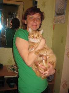 ���� ��� ������ ������� - ����������