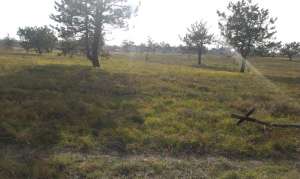 ���� ���� ��������. ���� ������� � �. ������������. ������ ������� � �. ������������ - ����������