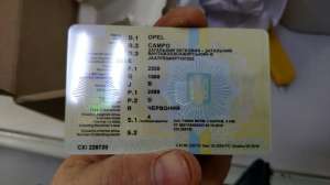 ���� - ���� ���������