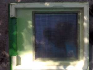 ���� ����� �� ���������������