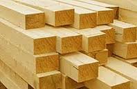 ���� ����� �������� - ����������