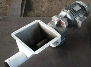 ���� ������