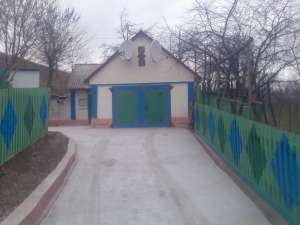 ���� ������