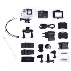 ���� ������