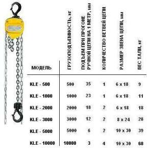 ���� ������ ������