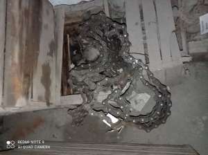 ���� ������, ������