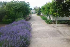 ���� ������ ���-������,�����,��������