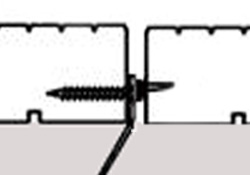 ���� (�������)