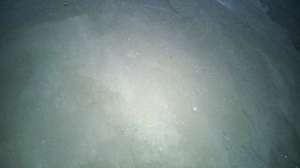 ���� �������