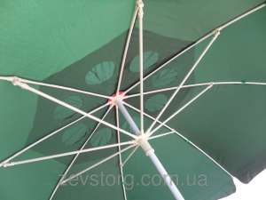 ���� ������� � ��������