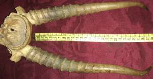 ���� ������� ���� �� ������