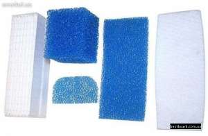 ���� ������� ����� - ����������