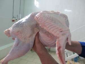 ���� ������� ����� �� ������������� �� 20 ���� � ��������� �� - ����������