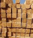 ���� ������� ����� �������� - ����������