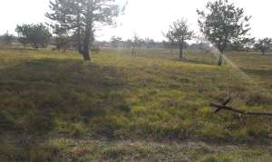 ���� �������. ������ ������� � �. ������������ - ����������