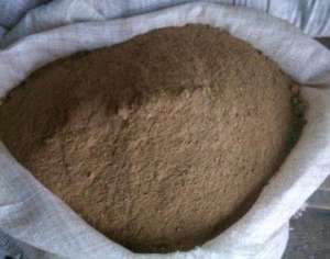 ���� ������� �������. - ����������