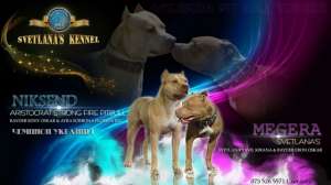 ����, �������, ��.���-����������, �����, 3 ���., ���. ���/WKU/