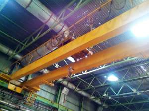 ���� �������� 12,5���� ���