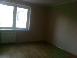 ���� �������� - ����������