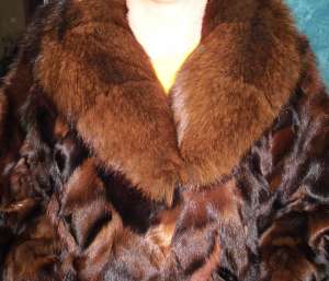 ���� ��������