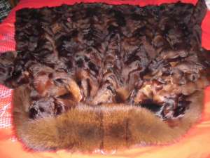 ���� ��������