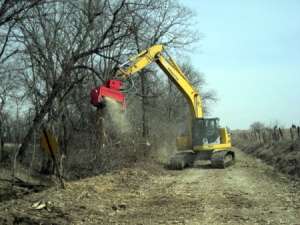 ���� ��������