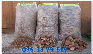 ���� �������� � ������ - ����������