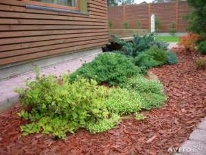 ���� �������� � ������ �� ������ - ����������