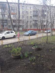 ���� �������� ���������.