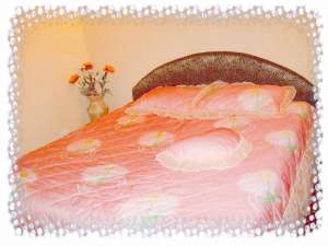 ���� ��������, ���������