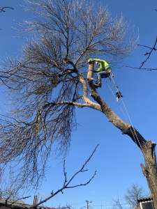 ���� ��������! ���������������� ���� ��������! - ����������