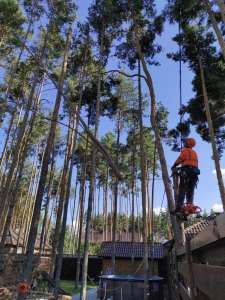 ���� ��������! ���������������� ���� ��������!