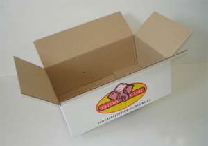 ���� ���������