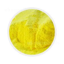 ���� ����������