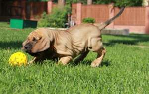 ���� ���������� - ������������ ����� - ����������