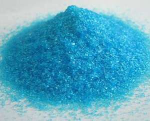 ���� �����������