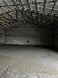 ���� ����������� �����.