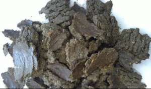 ���� ����������� ������������ - ����������