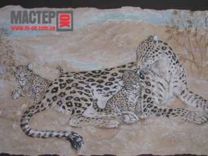 ���� ������������, ��������� ��������.