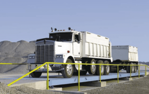 ���� �������������