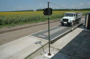 ���� �������������