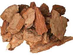 ���� ��������,����� � ������ - ����������