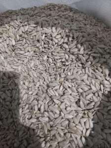 ���� �������������� ��������� - ����������