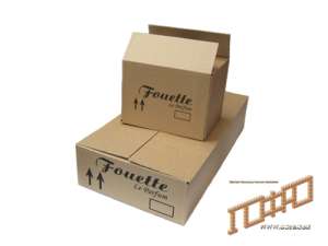 ���� ���������������